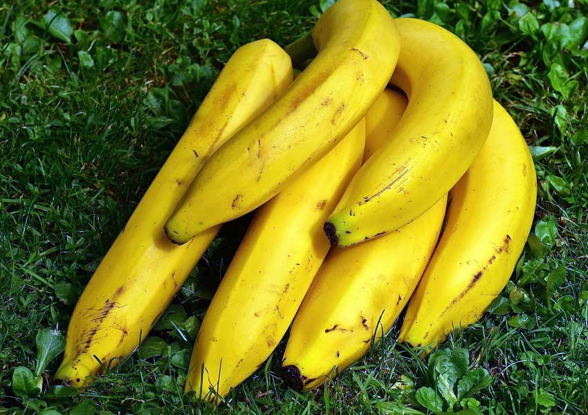 ಬಹುಪಯೋಗಿ ಈ ಬಾಳೆ ಹೂವು! 4 banana